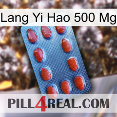 Lang Yi Hao 500 Mg 06